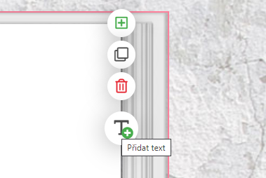 Come inserire il testo